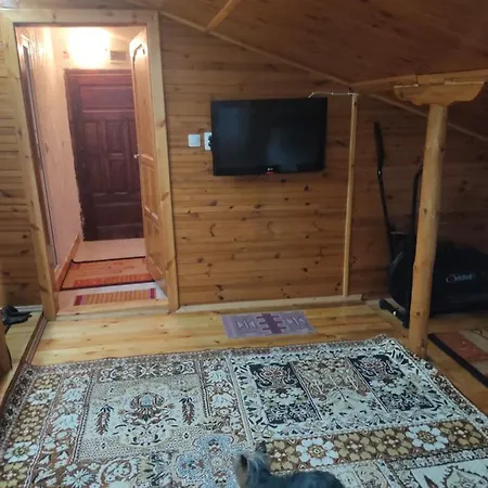 мансарда руми *